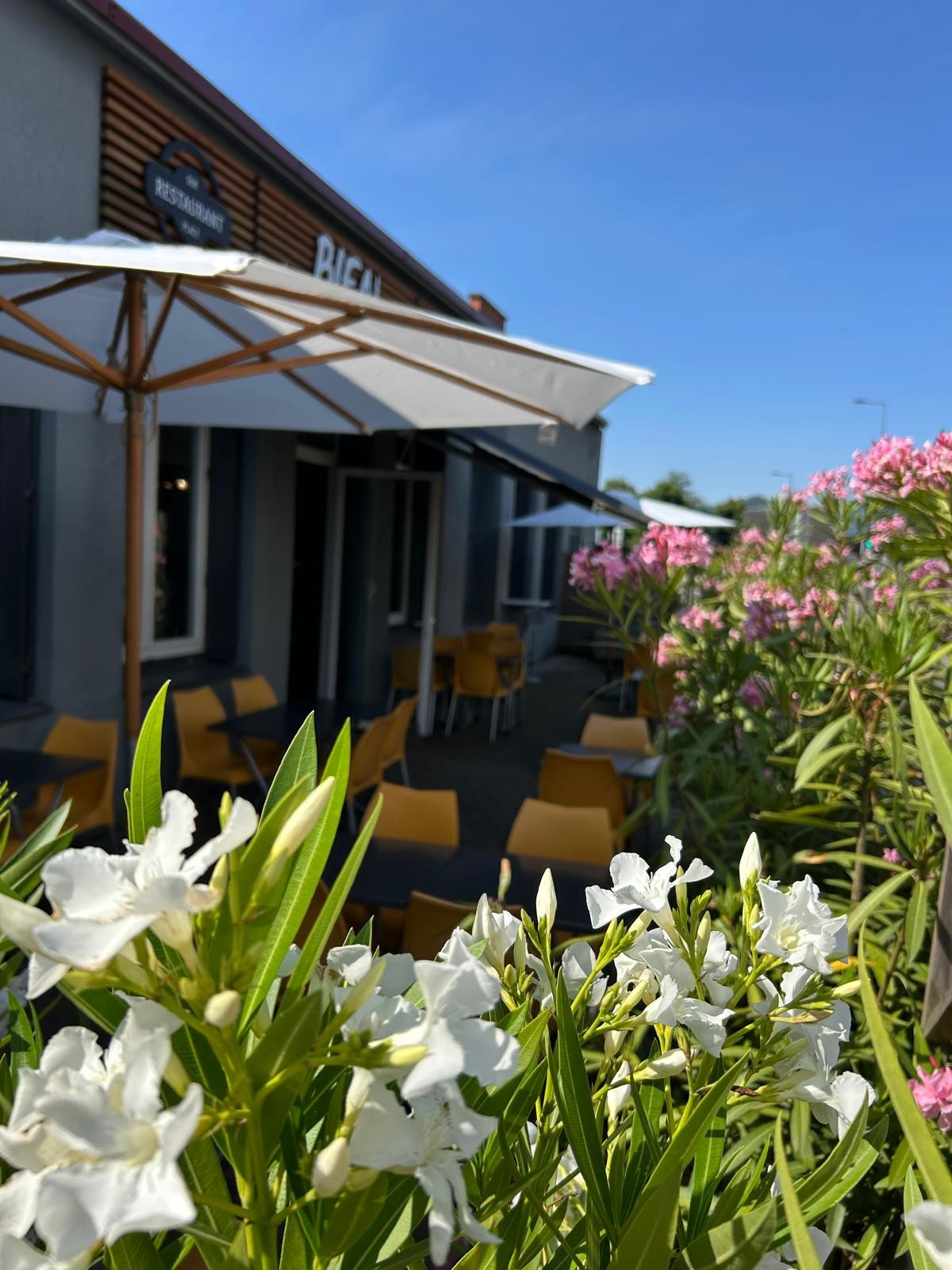 Saint-Étienne 42000 – Vente fonds de commerce boutique